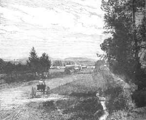 Market Street, Pretoria, ca. 1880s door Unbekannt