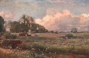 Weidezoet, 1893, c1902 door Unbekannt