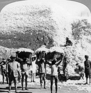 Mannen die manden met katoen dragen in een katoenfabriek in Indore, India, 1900s