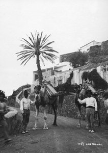 Mannen met kamelen, Las Palmas, Gran Canaria, Canarische Eilanden, Spanje, ca. 1920s-30s door Unbekannt