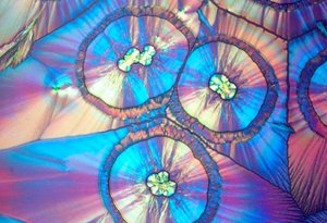 Ascorbinezuur, lichtmicrografie
