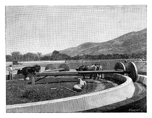 Molen voor het pellen van koffie, Midden-Amerika, ca. 1890 door Unbekannt