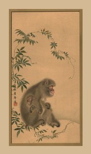 Aap, 19e eeuw, 1886