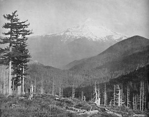Mount Hood, Oregon, ca. 1897