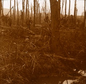 Mount Kemmel, Vlaanderen, België, c1914-c1918 door Unbekannt
