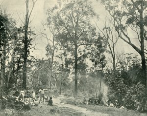 Inheemse sporten, Lake Tyers, 1901 door Unbekannt