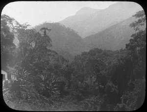 Bij Petrópolis, Rio de Janeiro, Brazilië, eind 19e of begin 20e eeuw door Unbekannt