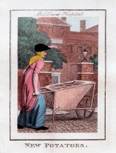 Nieuwe Aardappelen, Middlesex Ziekenhuis, Londen, 1805