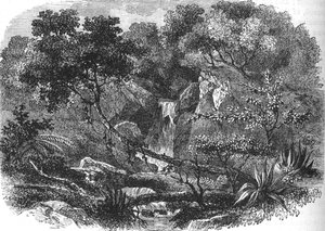 Nieuw-Zeelands landschap, ca. 1880