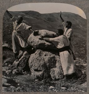 Offerlam op het altaar, Moreh, ca. 1900