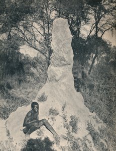 Een van de gigantische mierenhopen die kenmerkend zijn voor sommige districten van Zuid-Afrika, c1900