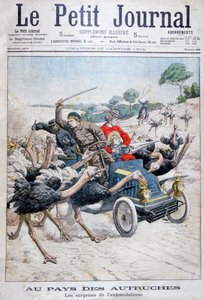 Struisvogels die een auto aanvallen, Californië, VS, 1904