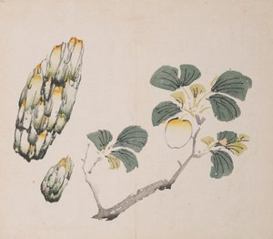 Pagina uit Shi Zhu Zhai door Unbekannt