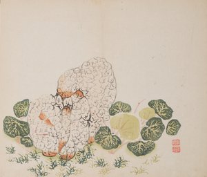 Pagina uit Shi Zhu Zhai door Unbekannt