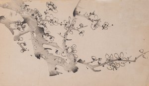 Pagina uit Shi Zhu Zhai