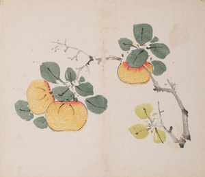 Pagina uit Shi Zhu Zhai door Unbekannt