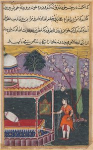 Pagina uit Verhalen van een papegaai Tuti-nama: Achtste nacht: De papegaai spreekt Khujasta toe..., 1558-1560 door Unbekannt