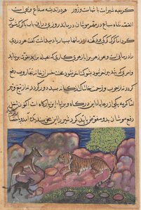 Pagina uit Verhalen van een Papegaai Tuti-nama: Vijftiende nacht: De wolf adviseert de leeuw..., 1558-1560