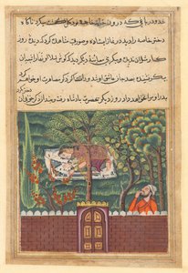 Pagina uit Verhalen van een Papegaai Tuti-nama: Eenenvijftigste nacht: Khulasa, een vizier, ziet..., ca. 1560
