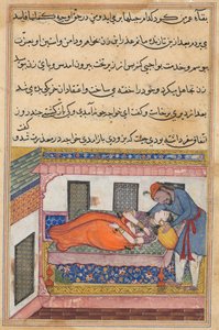 Pagina uit Verhalen van een Papegaai Tuti-nama: Veertigste nacht: Shahr-Arais echtgenoot..., c. 1560 door Unbekannt