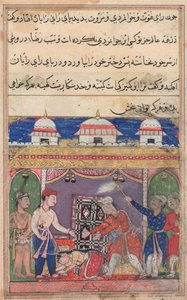 Pagina uit Verhalen van een Papegaai Tuti-nama: Zevende nacht: De koning van Bahilistan biedt aan..., c. 1560 door Unbekannt