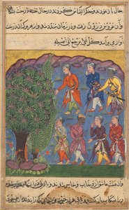 Pagina uit Verhalen van een Papegaai Tuti-nama: Zesde nacht: Zeven mannen die bezit betwisten..., ca. 1560 door Unbekannt