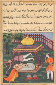 Pagina uit Verhalen van een Papegaai Tuti-nama: Zesendertigste nacht: Mahrusa pleegt zelfmoord..., ca. 1560 door Unbekannt