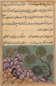 Pagina uit Verhalen van een Papegaai Tuti-nama: Zesentwintigste nacht: De afgezette kikker..., ca. 1560
