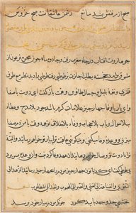 Pagina uit Verhalen van een Papegaai Tuti-nama: tekstpagina, ca. 1560 door Unbekannt