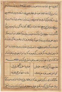 Pagina uit Verhalen van een Papegaai Tuti-nama: tekstpagina, ca. 1560 door Unbekannt