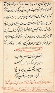 Pagina uit Verhalen van een papegaai Tuti-nama: tekstpagina, ca. 1560 door Unbekannt