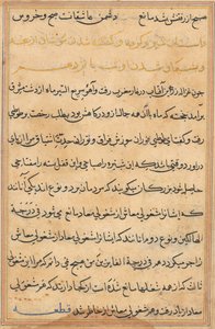 Pagina uit Verhalen van een Papegaai Tuti-nama: tekstpagina, ca. 1560 door Unbekannt