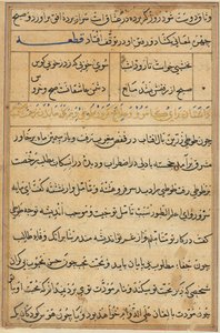 Pagina uit Verhalen van een Papegaai Tuti-nama: tekstpagina, ca. 1560 door Unbekannt
