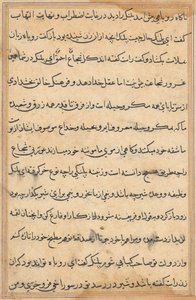 Pagina uit Verhalen van een papegaai Tuti-nama: tekstpagina, ca. 1560 door Unbekannt