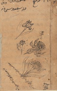 Pagina uit Verhalen van een Papegaai Tuti-nama: tekstpagina, circa 1560 door Unbekannt