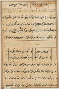 Pagina uit Verhalen van een Papegaai Tuti-nama: tekstpagina, ca. 1560 door Unbekannt