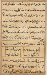 Pagina uit Verhalen van een Papegaai Tuti-nama: tekstpagina, c. 1560 door Unbekannt