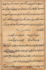 Pagina uit Verhalen van een Papegaai Tuti-nama: tekstpagina, c. 1560 door Unbekannt