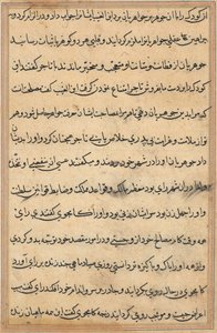 Pagina uit Verhalen van een papegaai Tuti-nama: tekstpagina, c. 1560 door Unbekannt