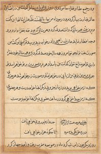 Pagina uit Verhalen van een papegaai Tuti-nama: tekstpagina, ca. 1560 door Unbekannt