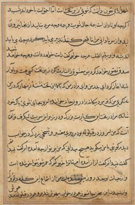 Pagina uit Verhalen van een Papegaai Tuti-nama: tekstpagina, c. 1560 door Unbekannt