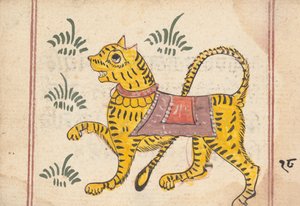 Pagina uit een boek van voortekenen