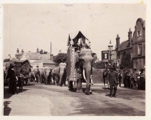 Parade van olifanten, ca. 1905
