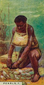 Parels 1. Inheemse Duiker aan het Werk, Ceylon, 1928 door Unbekannt