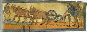 Boeren ploegen Miniatuur uit het Cotton MS Tiberius, 11e eeuw door Unbekannt