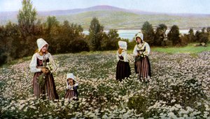 Bloemen plukken in een weide bij Leksand, Zweden, ca. 1923 door Unbekannt
