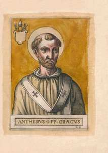 Paus Anterus