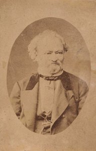 Portret van pianist en componist Ferenc Erkel 1810-1893, c. 1875 door Unbekannt