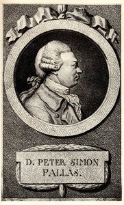 Portret van de zoöloog en botanicus Peter Simon Pallas 1741-1811, begin 19e eeuw door Unbekannt