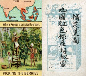Belangrijkste gebieden voor de productie van peper, uit de serie 